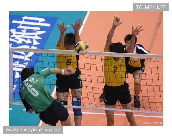 全国锦标赛回顾：上海排球队展现卓越团队协作精神与默契配合