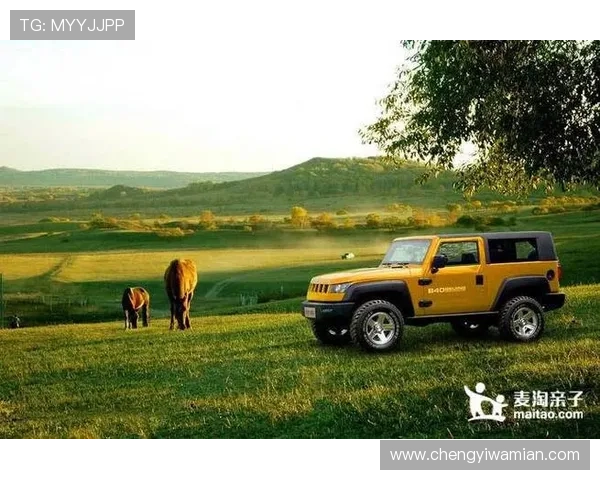 原始森林足球明星的传奇旅程与自然的完美结合